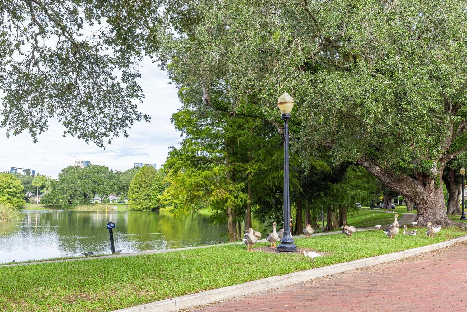 1002 DELANEY PARK DRIVE, Orlando, FL 32806 1002 DELANEY PARK DRIVE, Orlando, FL 32806