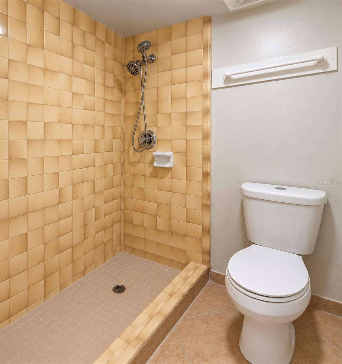 2527 CITRUS CLUB LANE, #3904, Orlando, FL 32839 Primary updated shower enclosure and newer toilet.