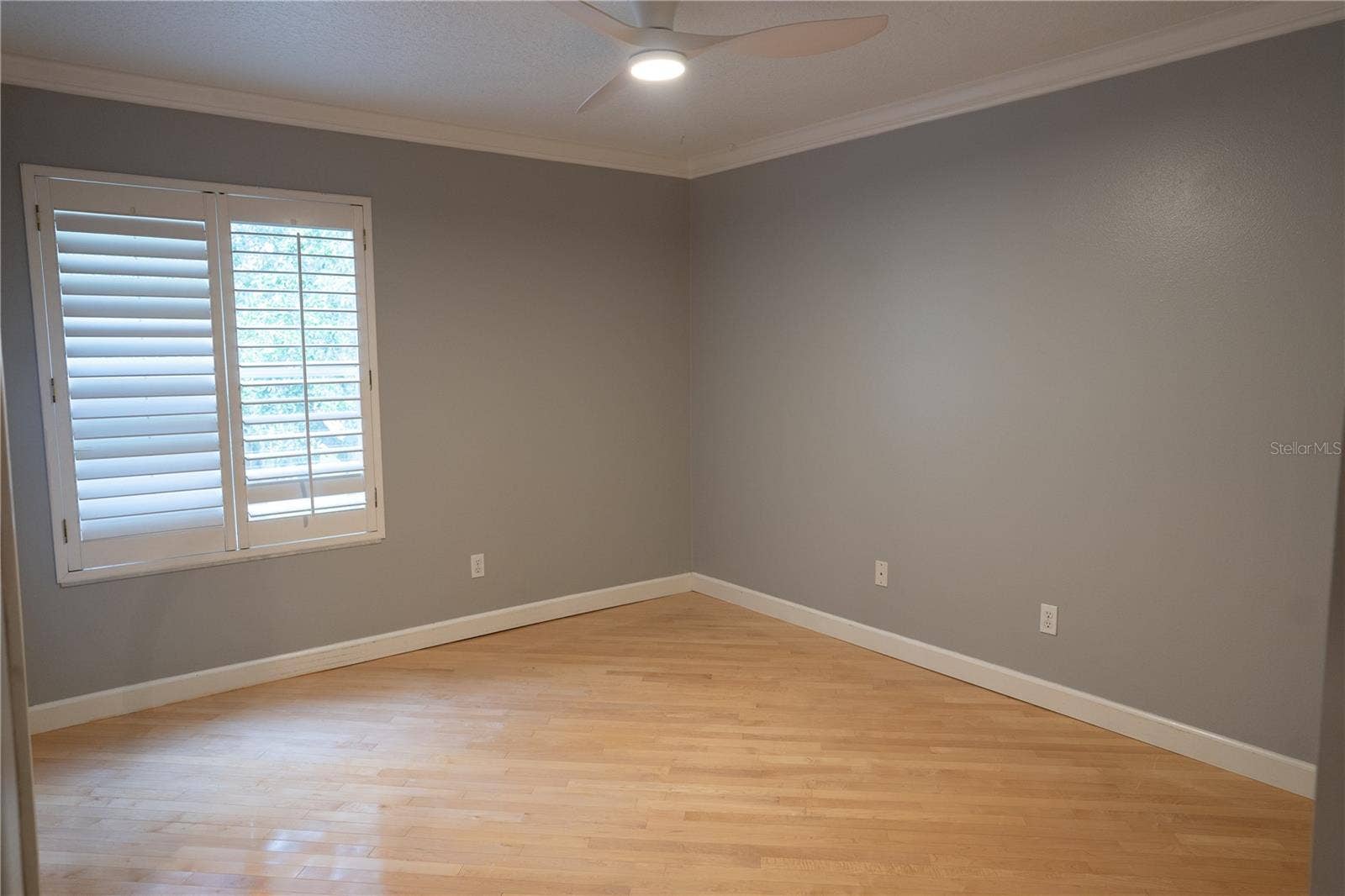 10103 FACET CT, Orlando, FL 32836 10103 FACET CT, Orlando, FL 32836