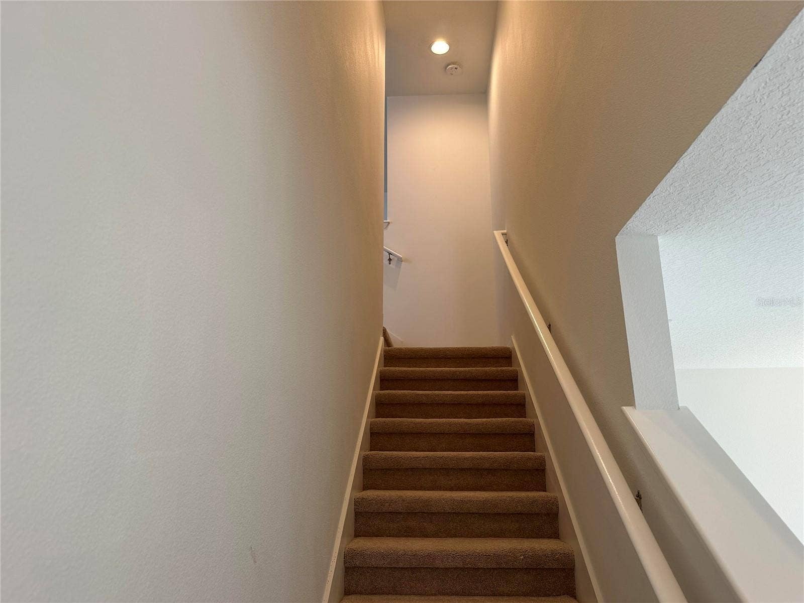 10774 CABBAGE TREE LOOP, Orlando, FL 32825
