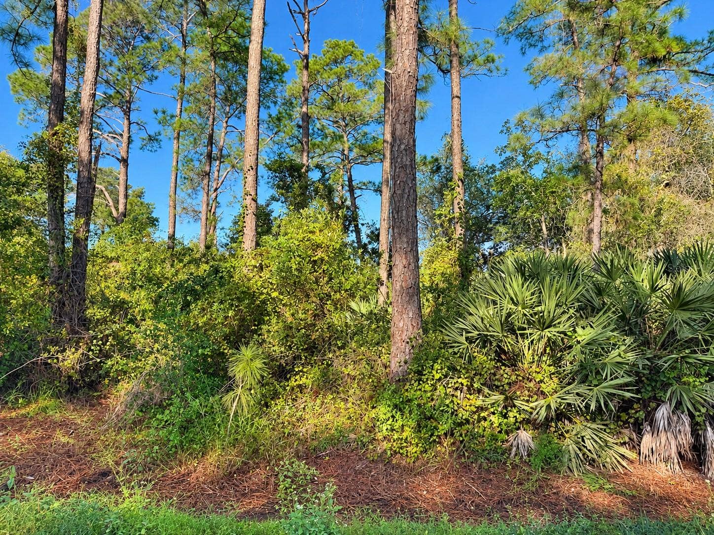 10TH AVE, Deland, FL 32724
