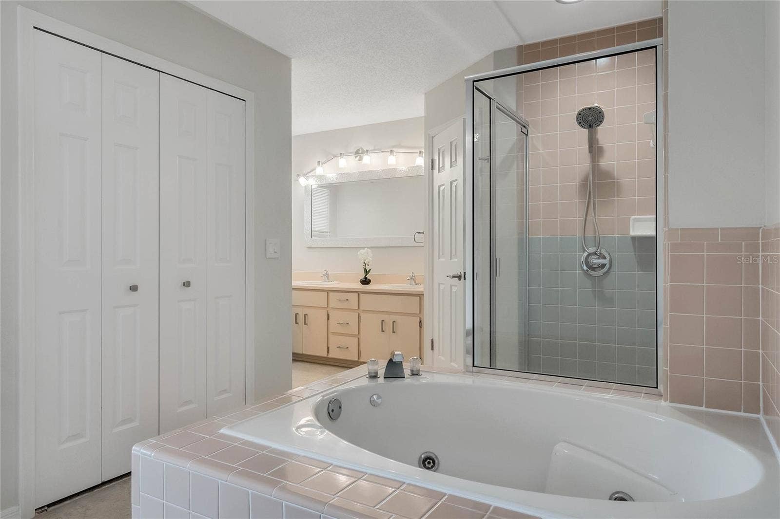 8235 AMBROSE COVE WAY, Orlando, FL 32819 Tub and shower in the primary bathroom