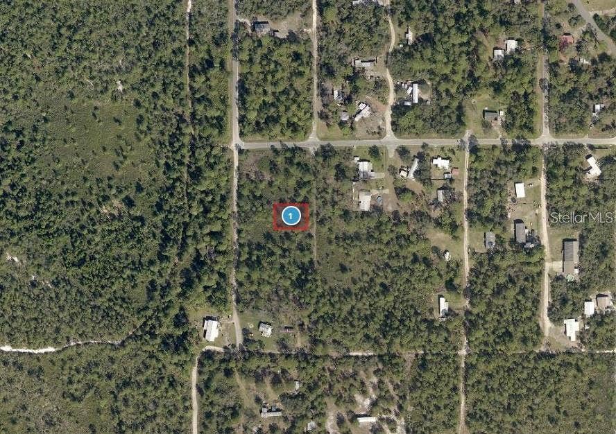 VIRGINIA STREET, Paisley, FL 32767