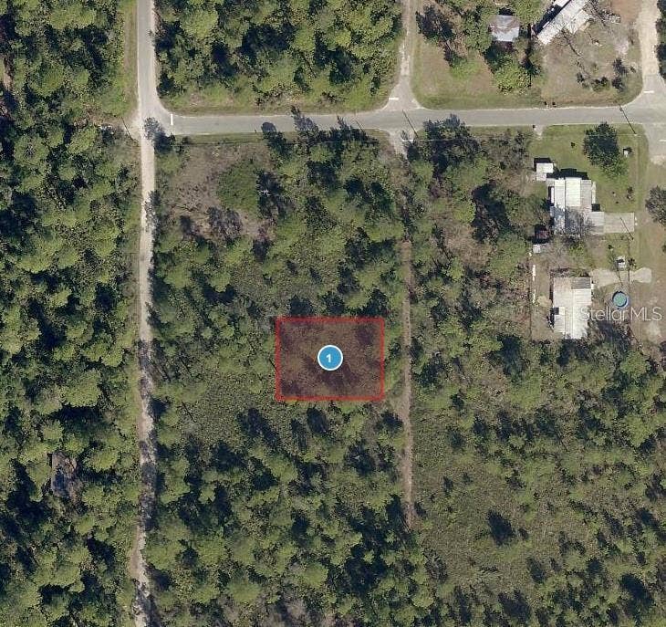 VIRGINIA STREET, Paisley, FL 32767