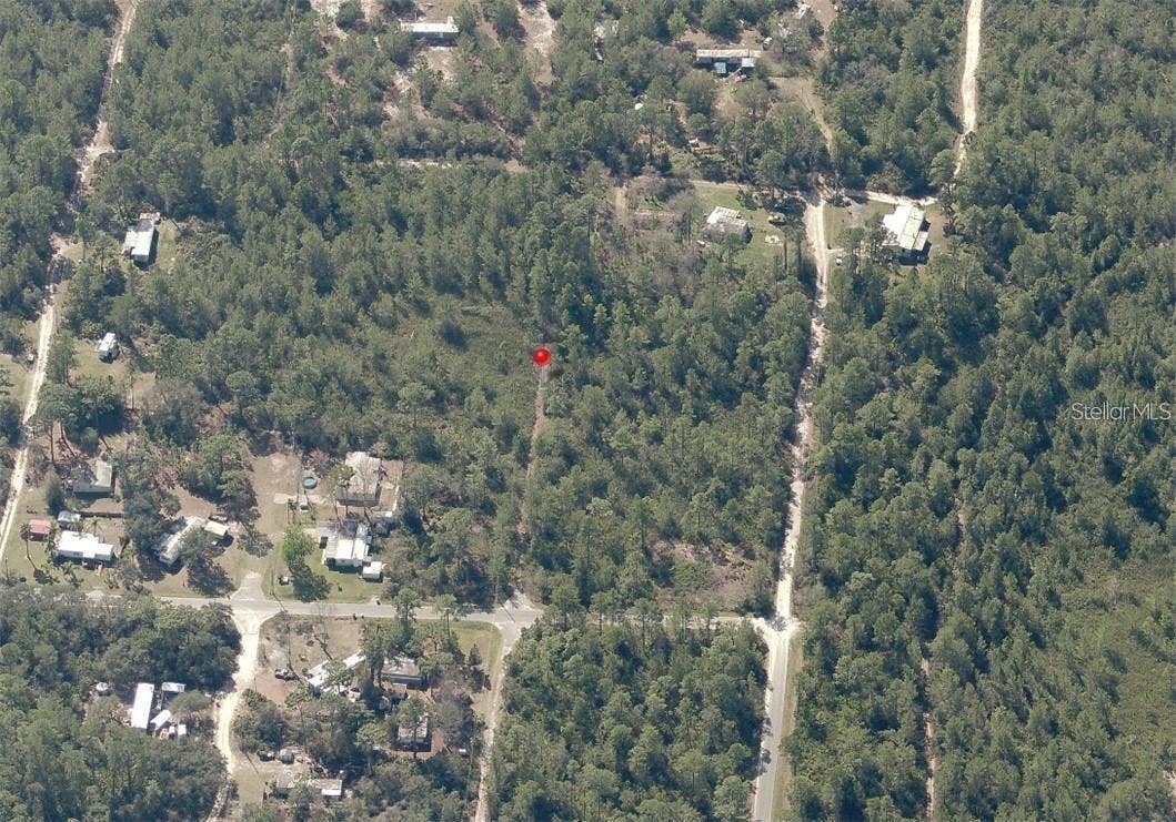 VIRGINIA STREET, Paisley, FL 32767