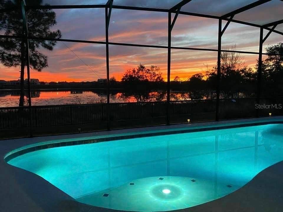 10048 BEACH PORT DRIVE, Winter Garden, FL 34787 Enjoy a Night Swim