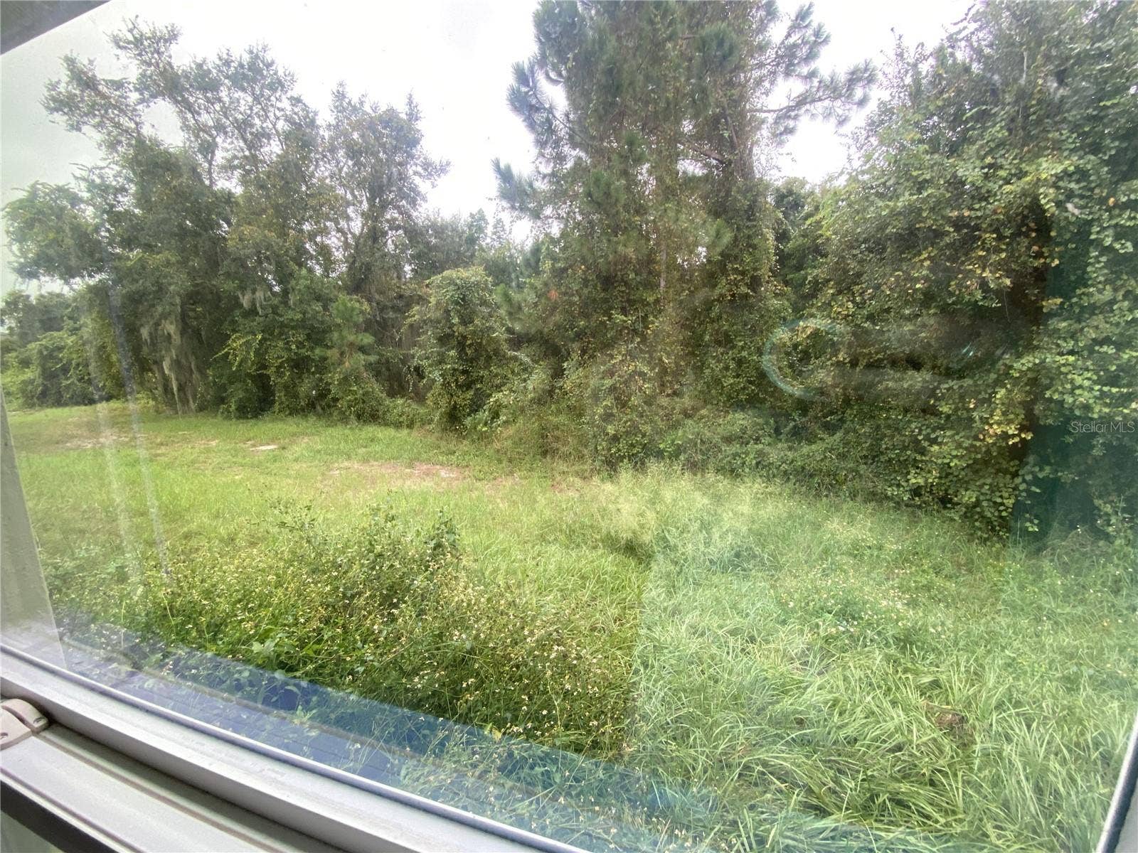 View of the backyard from Bedroom 4.