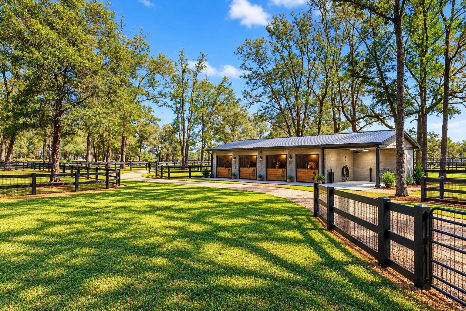 10427 NW 8TH LANE, Ocala, FL 34482