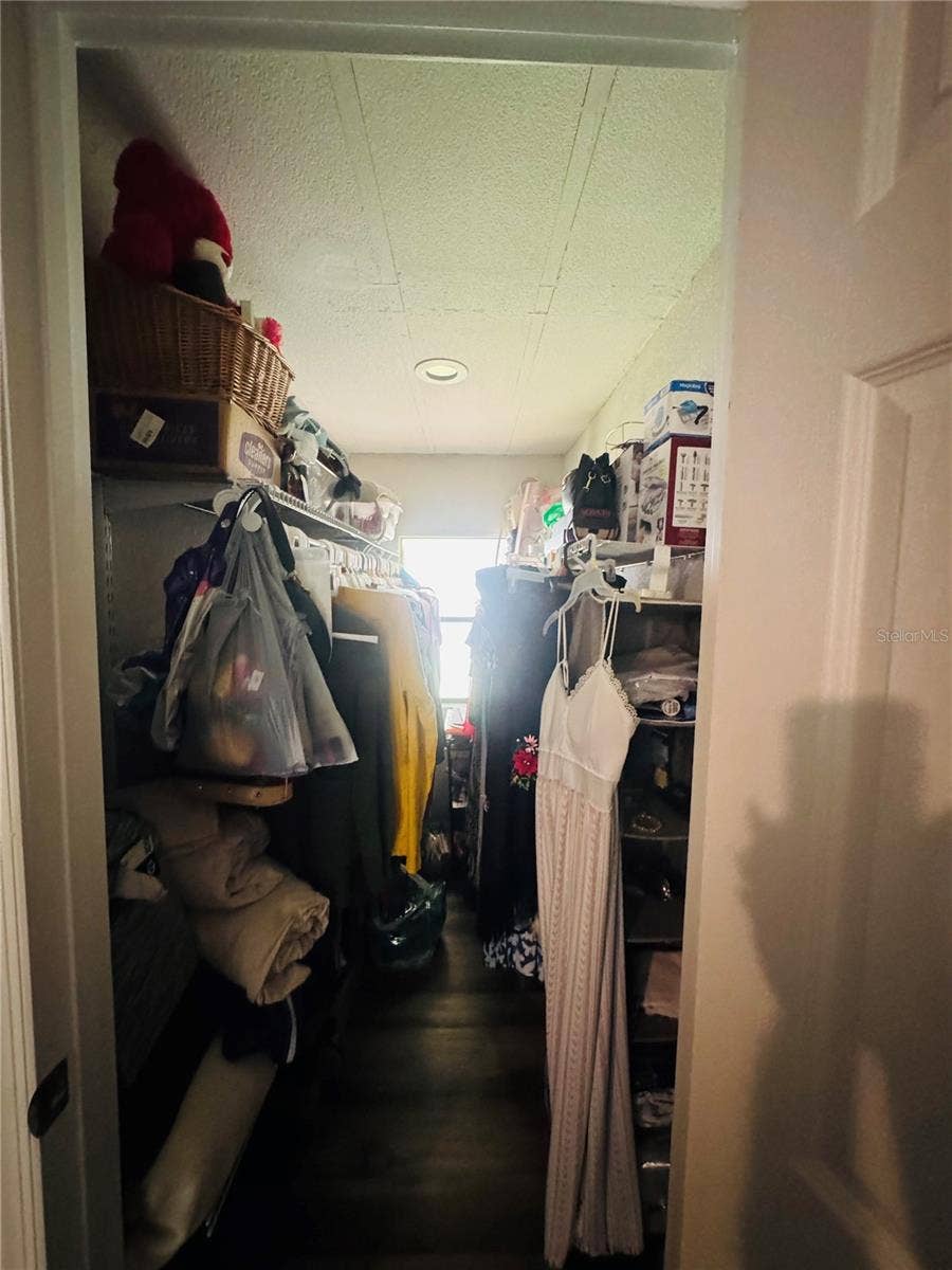 1013 LIANNE PLACE, Seffner, FL 33584 closet