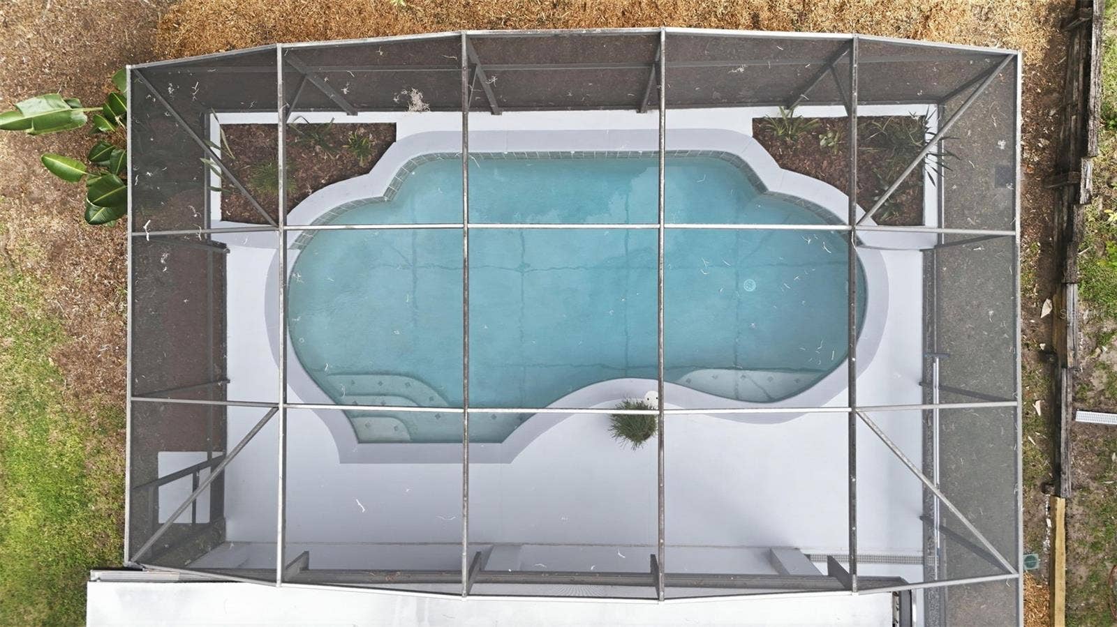 Large Pool and Screen Enclosure