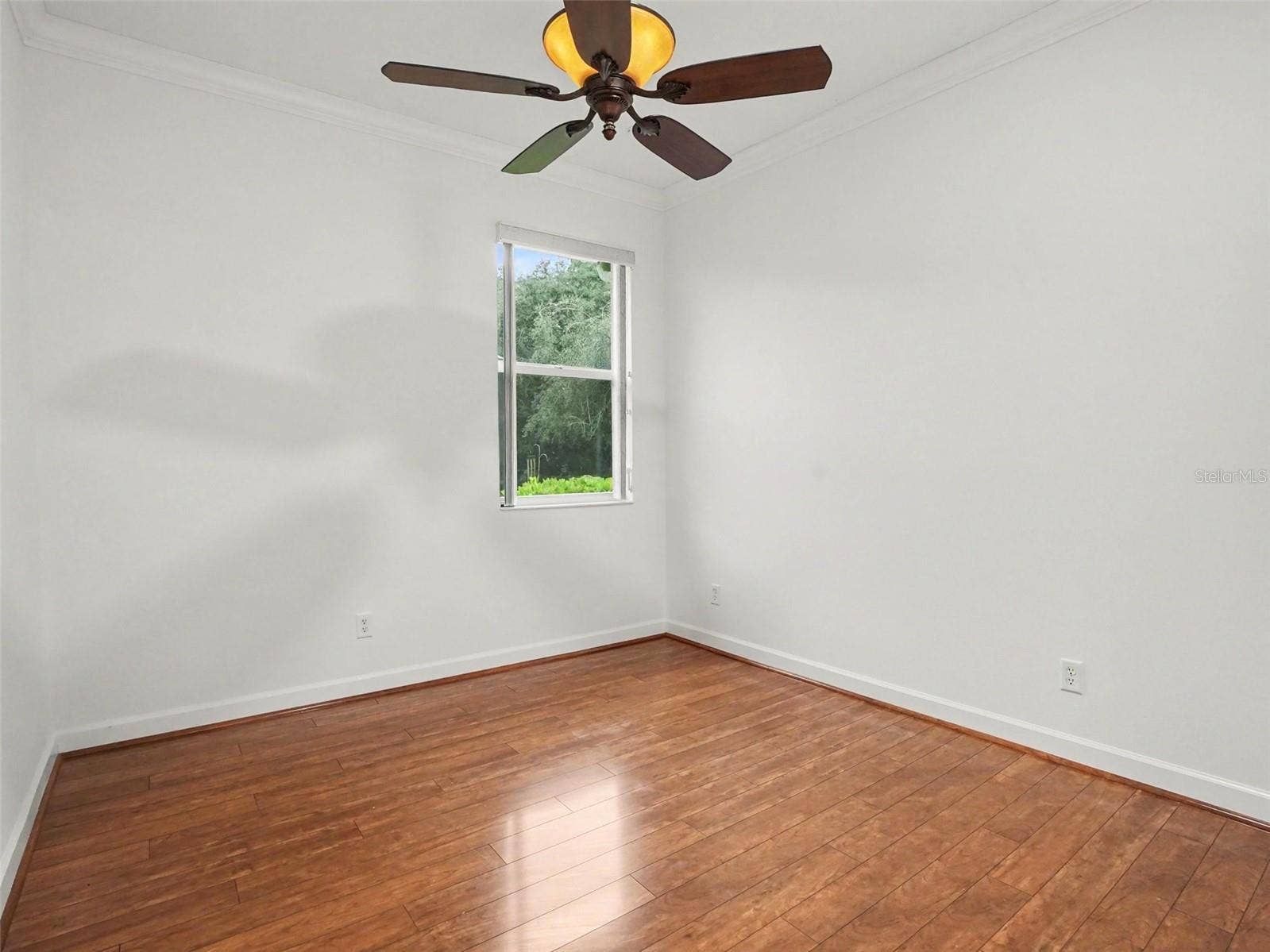 8045 WATERBURY WAY, Mount Dora, FL 32757