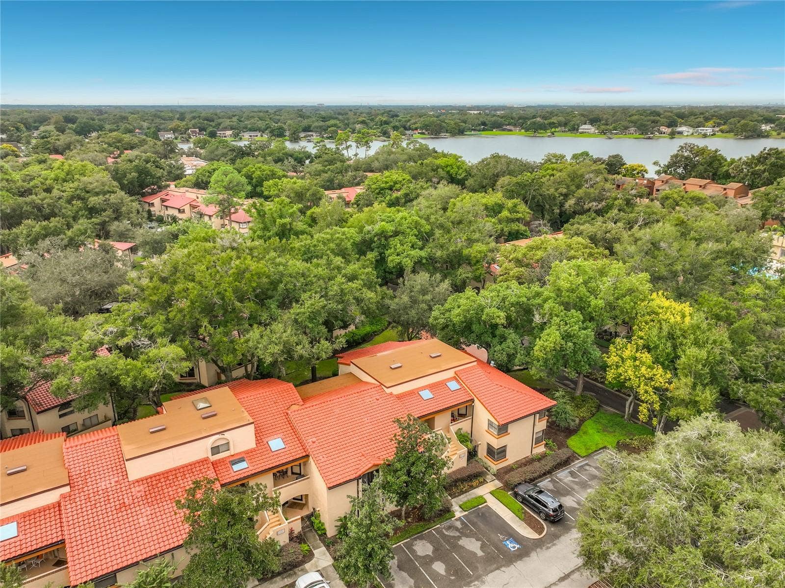1275 SAINT TROPEZ CIRCLE, #1275, Orlando, FL 32806 Up in the trees...