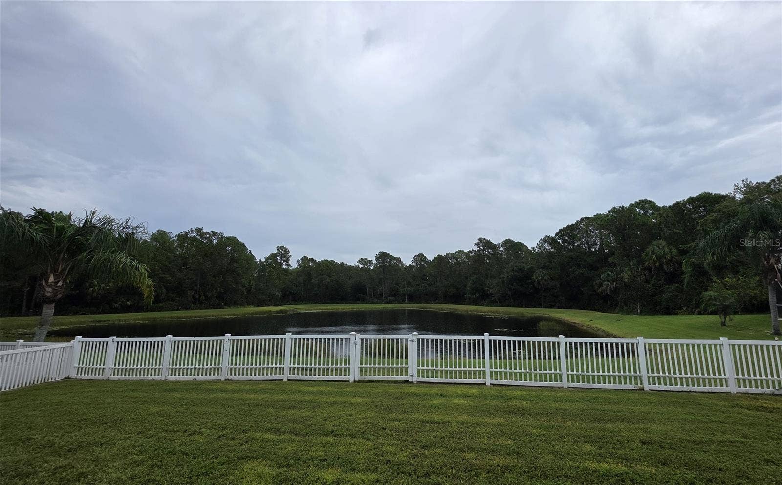 Backyard View