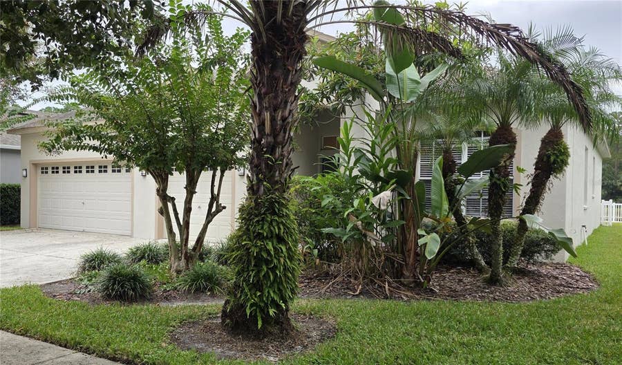 Property photo for 19205 MEADOW PINE DRIVE, Tampa, FL