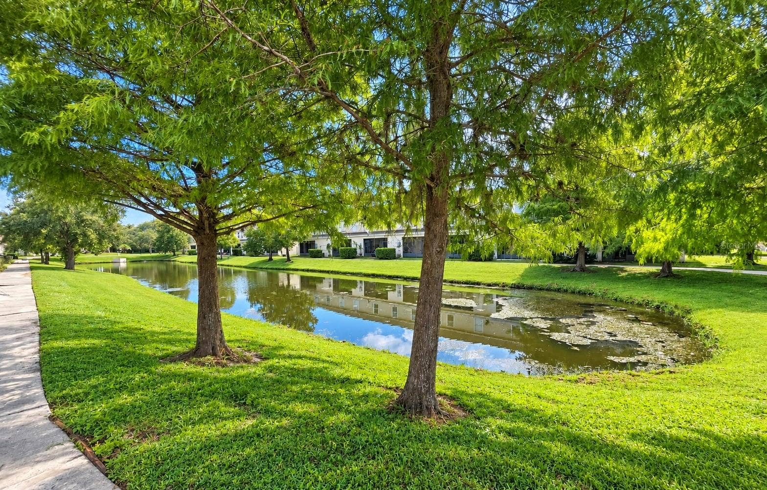 4996 TOWN TERRACE N, Kissimmee, FL 34758 View from the lanai