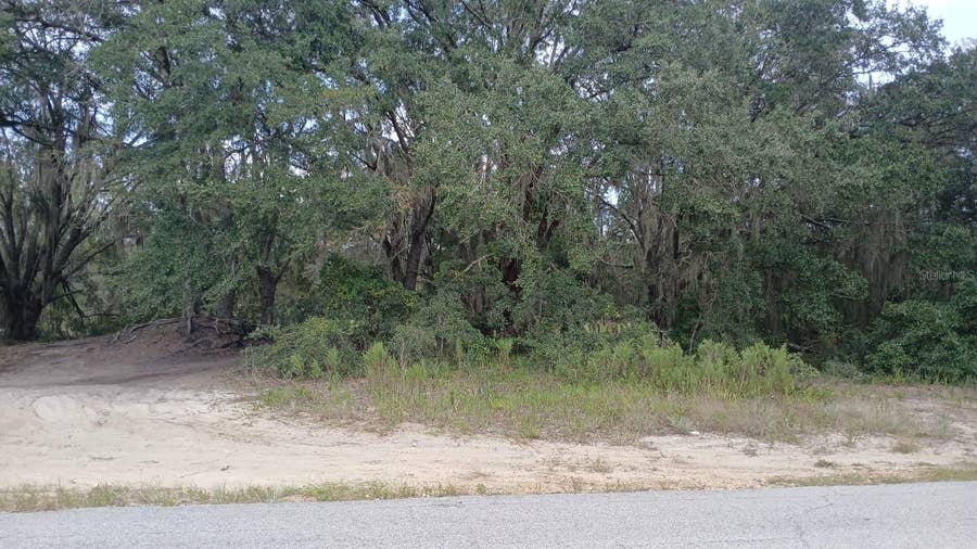 Property photo for SE MALAUKA LOOP RUN ROAD, Ocklawaha, FL