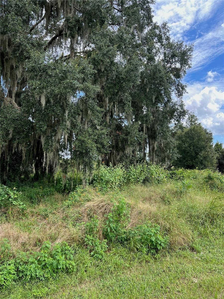475 LONG AND WINDING ROAD, Howey In The Hills, FL 34737 475 LONG AND WINDING ROAD, Howey In The Hills, FL 34737
