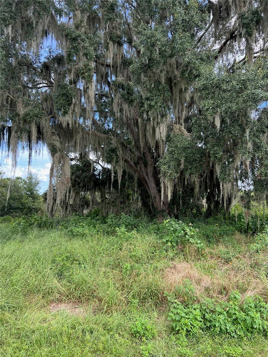 475 LONG AND WINDING ROAD, Howey In The Hills, FL 34737 475 LONG AND WINDING ROAD, Howey In The Hills, FL 34737