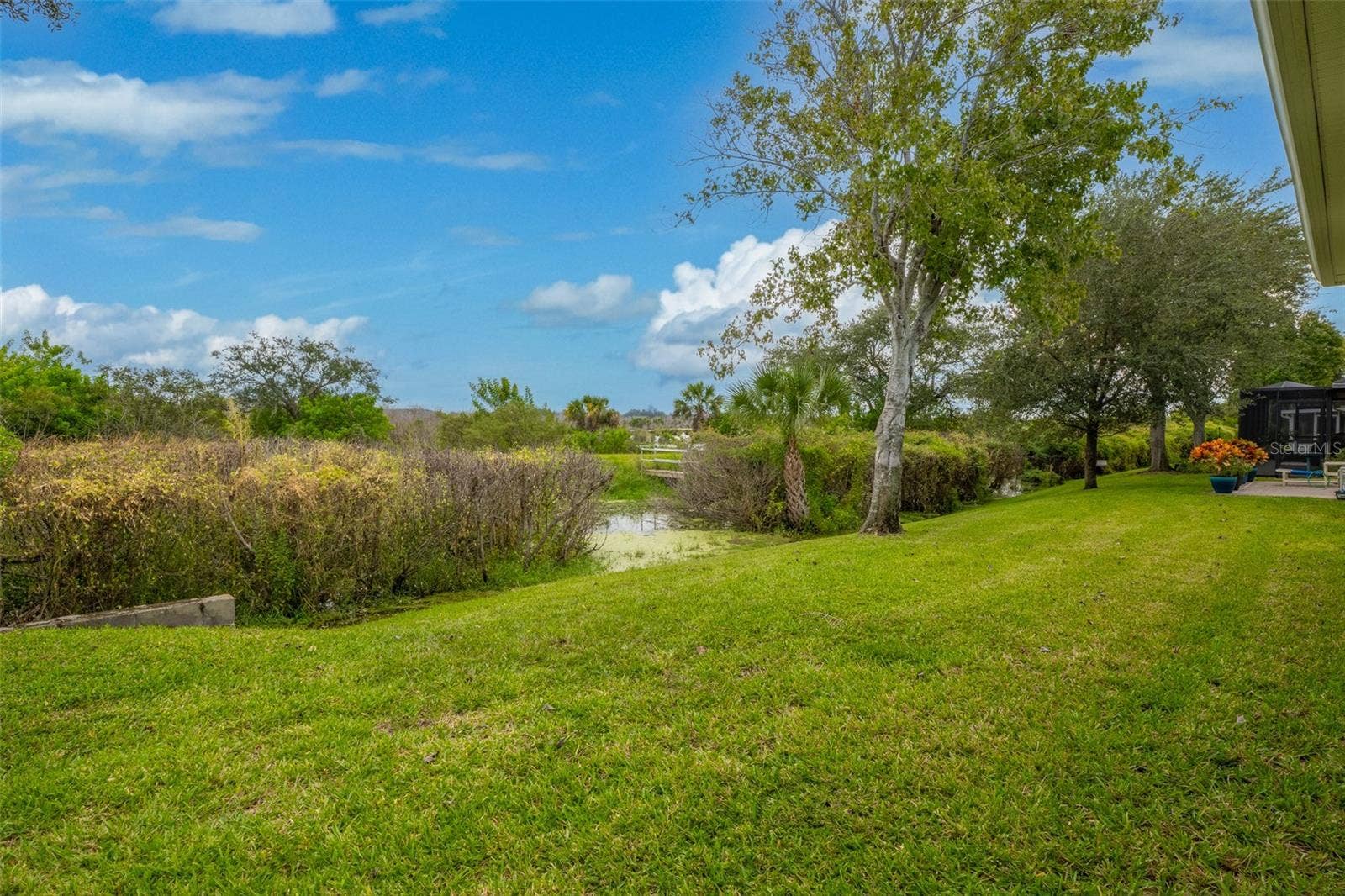 Backyard Water View