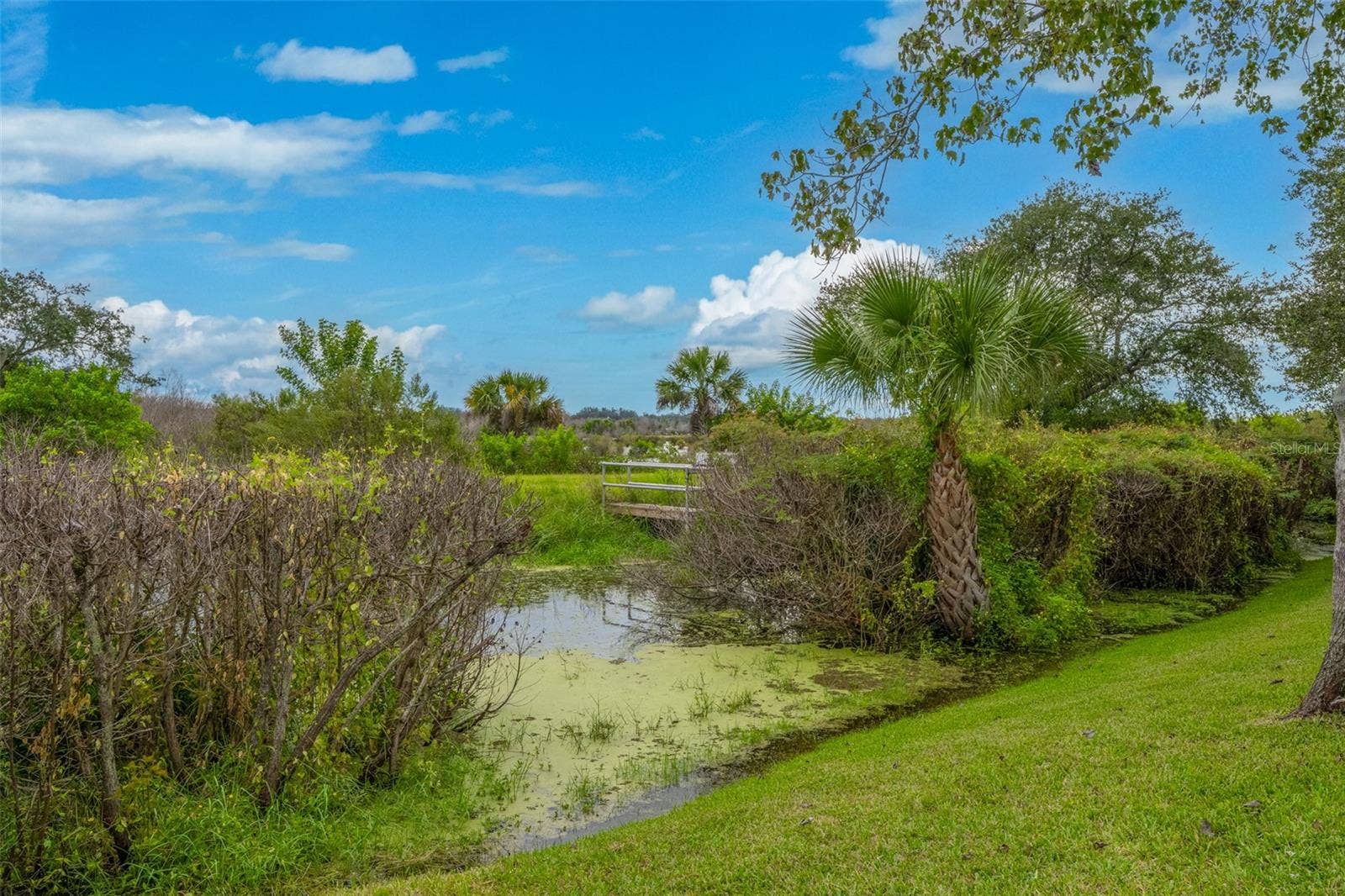 Peaceful Backyard