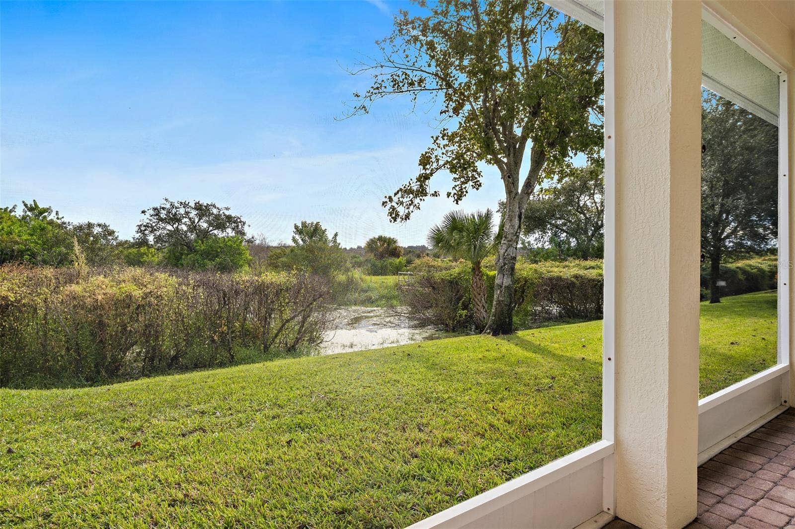 Water Views
