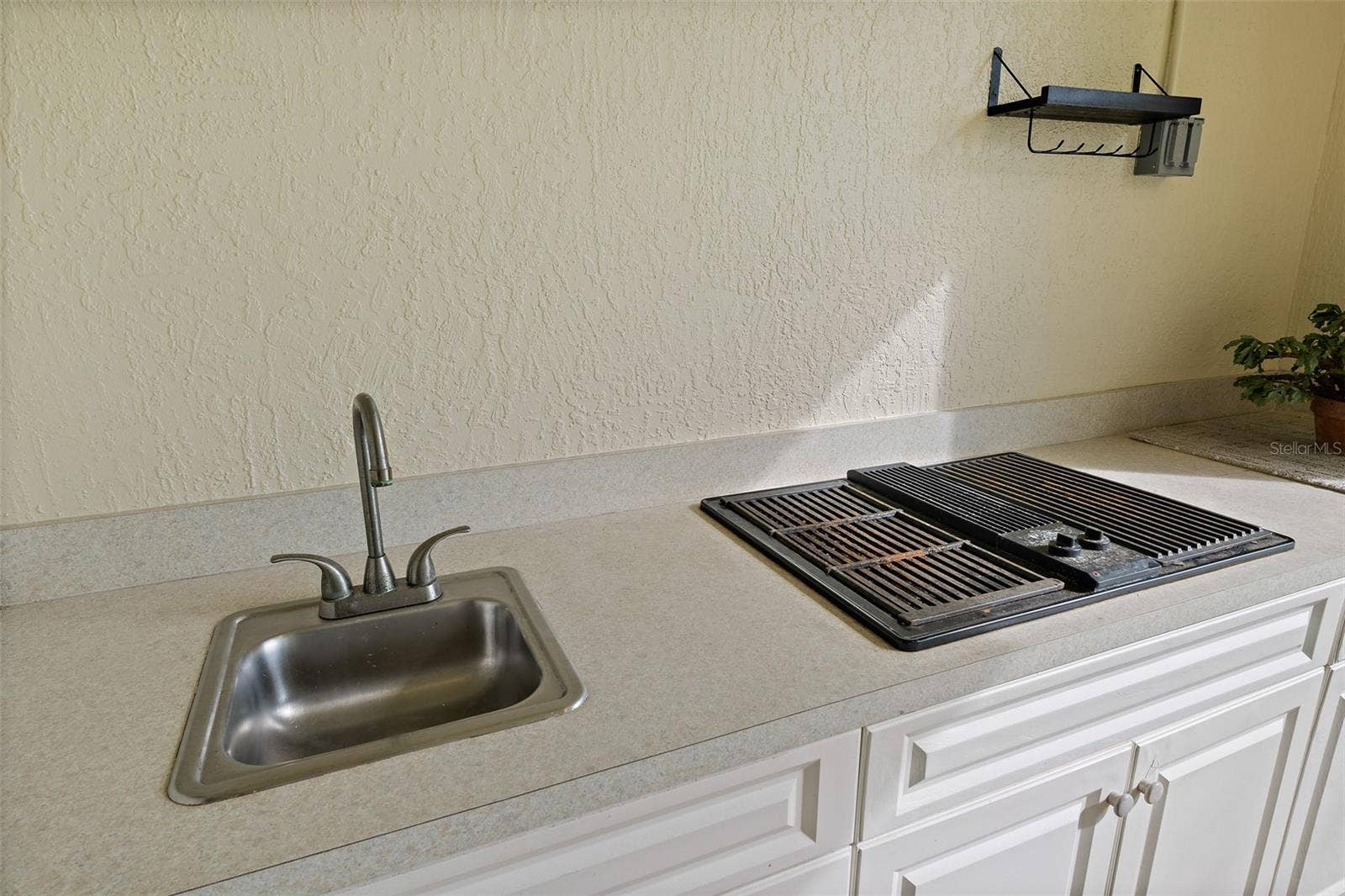 Full Outdoor Kitchen