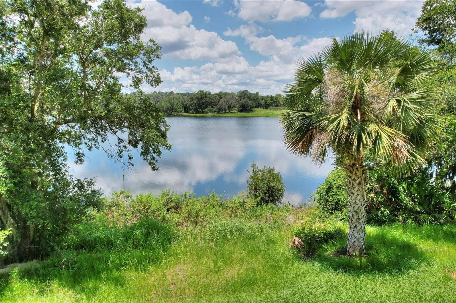189 TRANQUIL MIRROR LAKE COURT, #Lot 4, Clermont, FL 34711 View from Lot 4