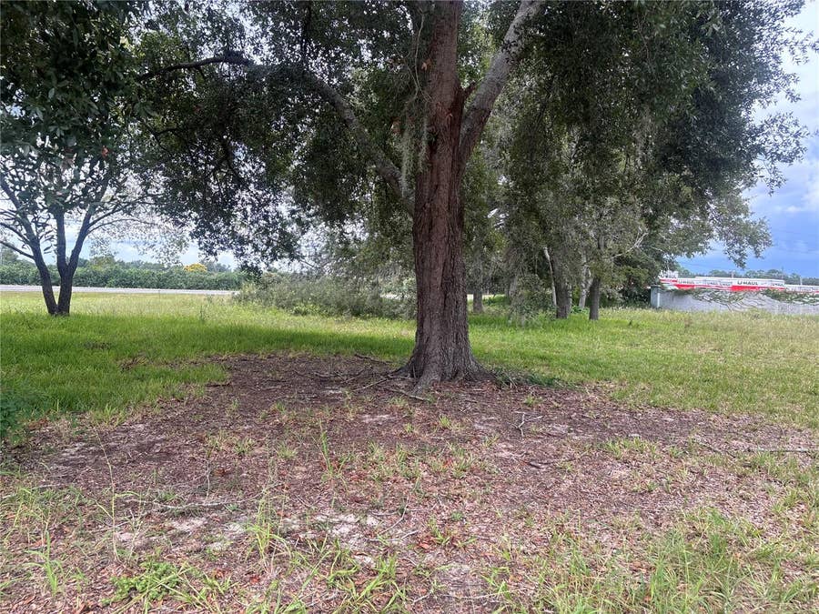 Property photo for STATE ROAD 19, Tavares, FL