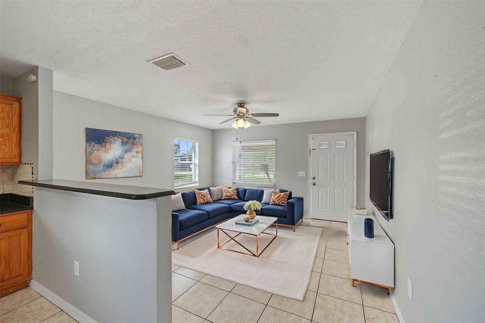 Living Room (Virtually Staged)