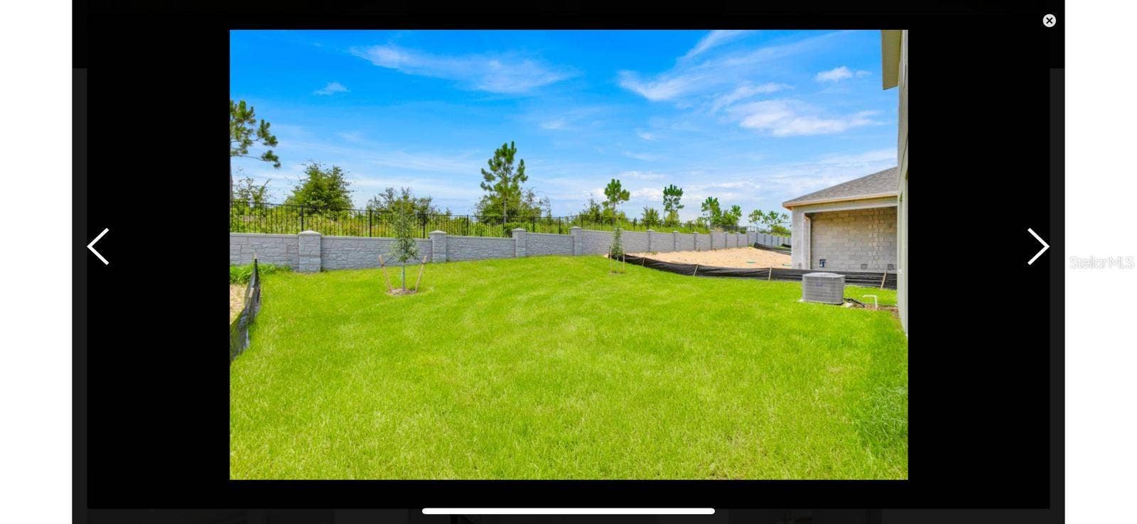 368 LEMONGRASS ROAD, Minneola, FL 34715 Backyard