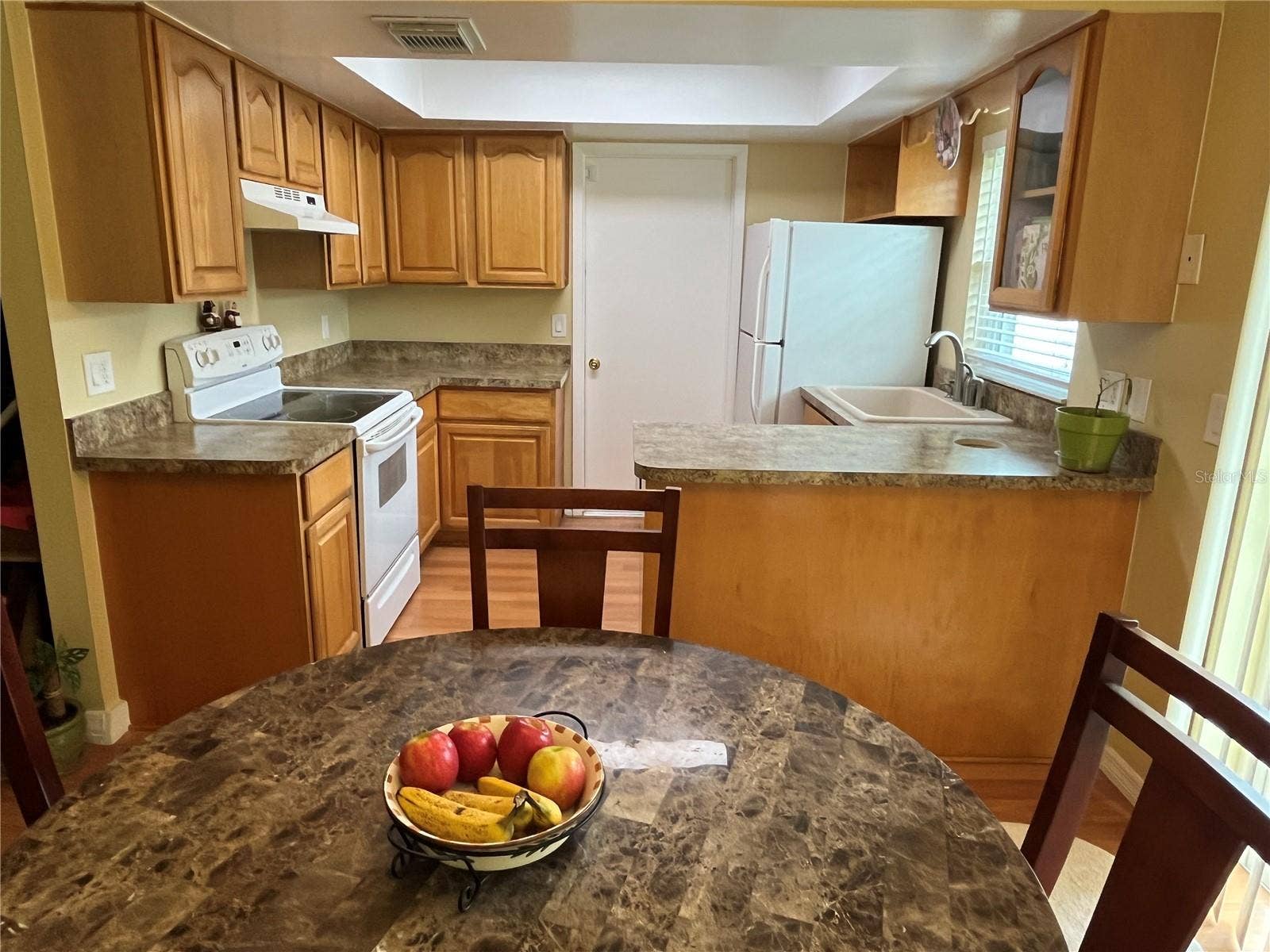 220 MISSISSIPPI WOODS LANE, Orlando, FL 32824