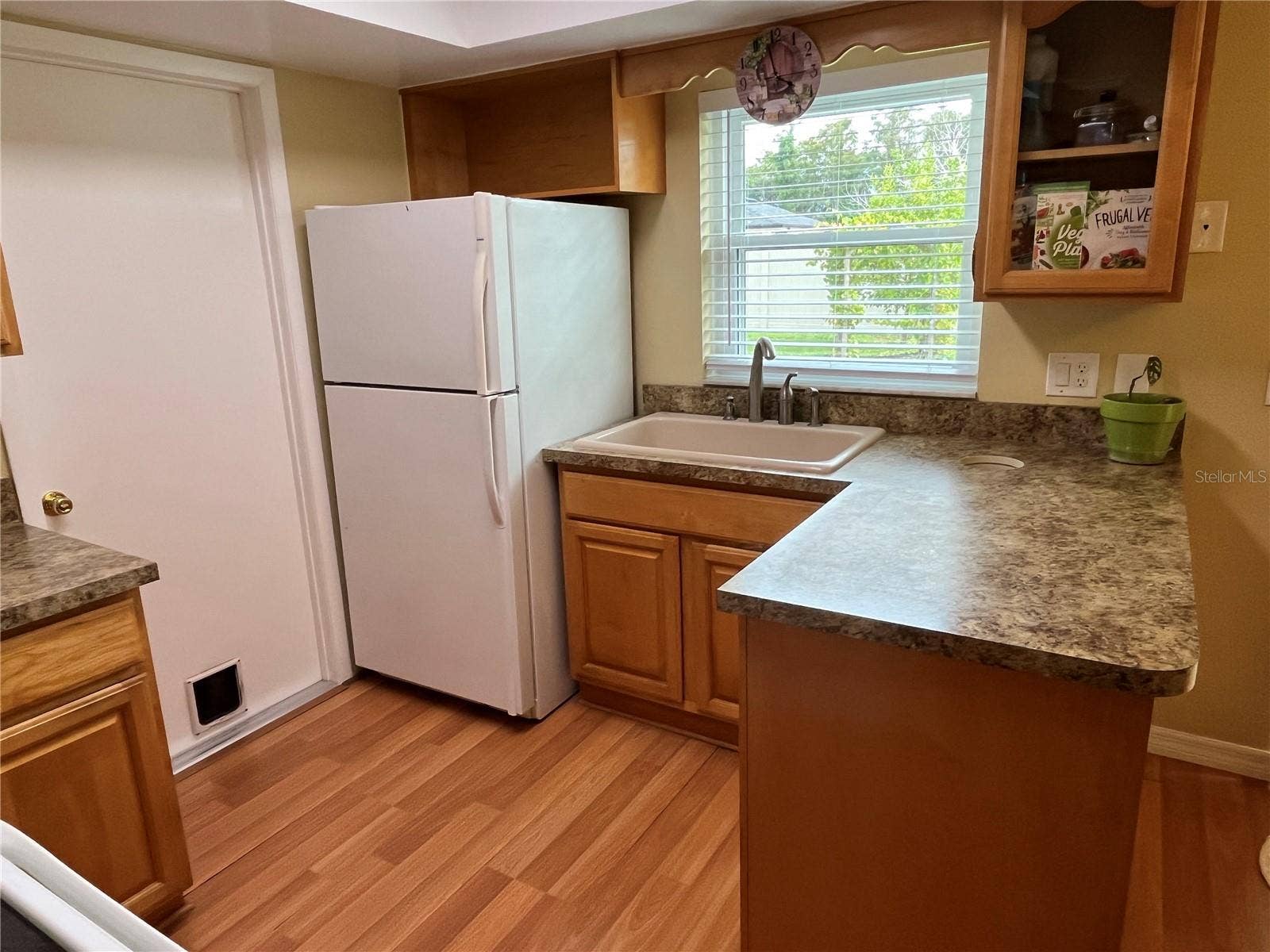 220 MISSISSIPPI WOODS LANE, Orlando, FL 32824