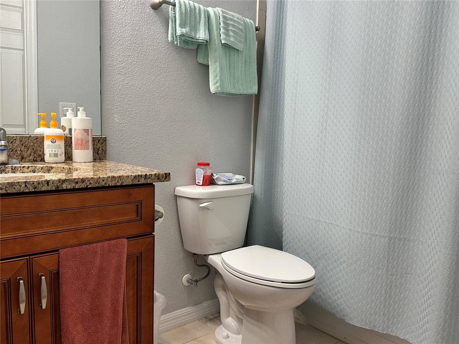 26942 WHITE PLAINS WAY, Leesburg, FL 34748 Guest Bathroom