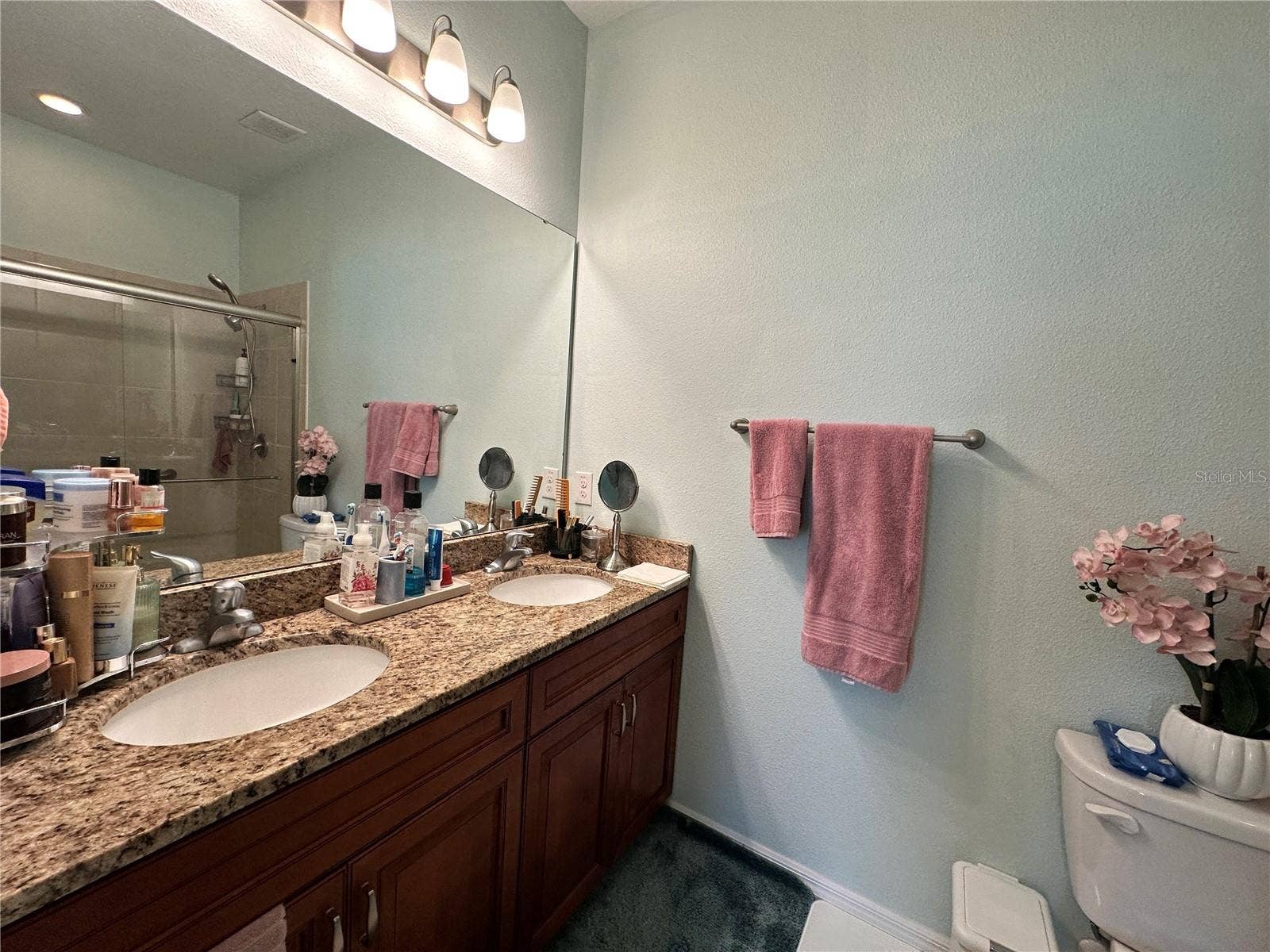 26942 WHITE PLAINS WAY, Leesburg, FL 34748 Main Bathroom