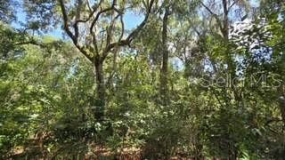 4284 CR 575, Bushnell, FL 33513