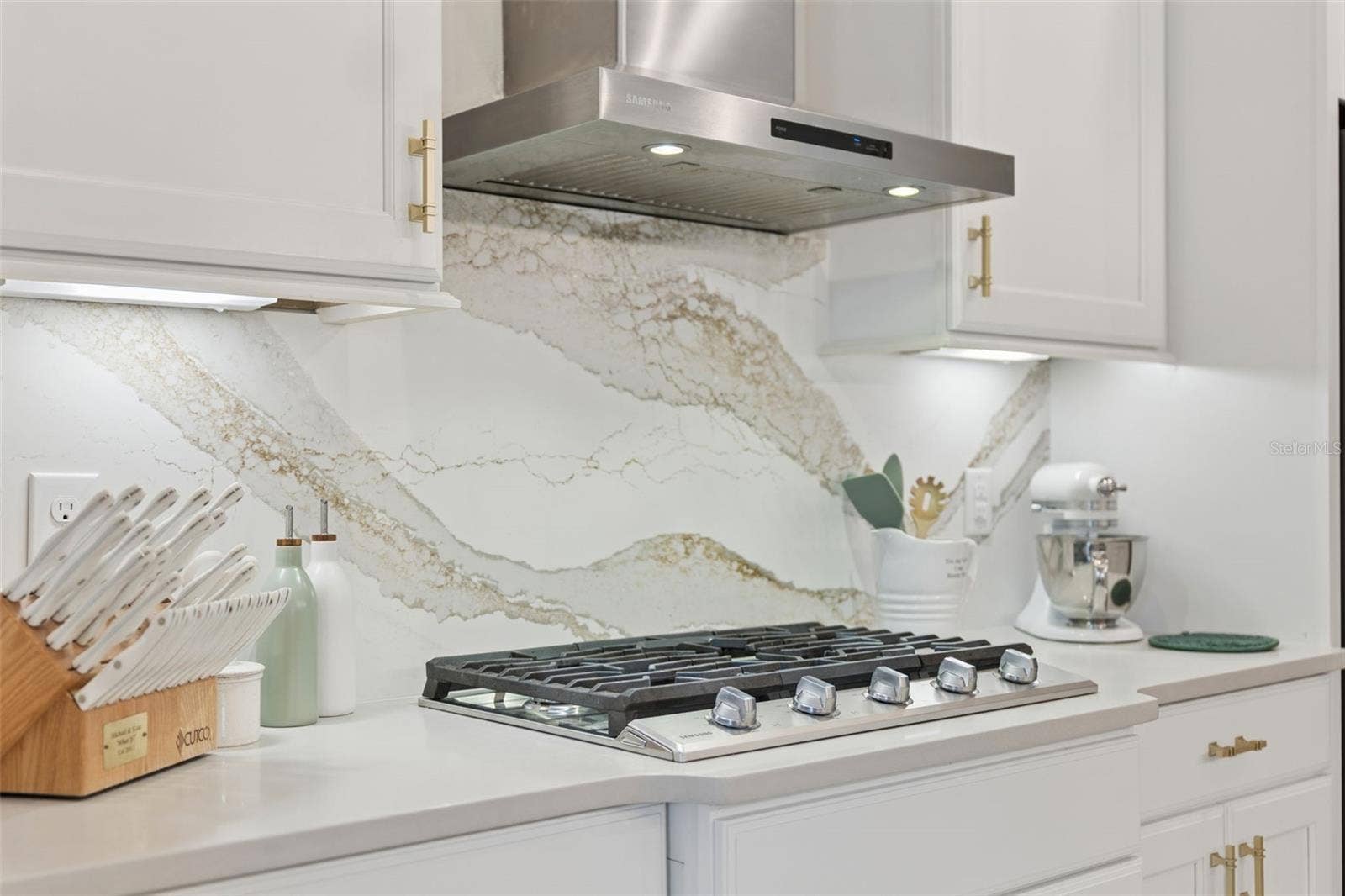 8400 BRIDGEPORT BAY CIRCLE, Mount Dora, FL 32757