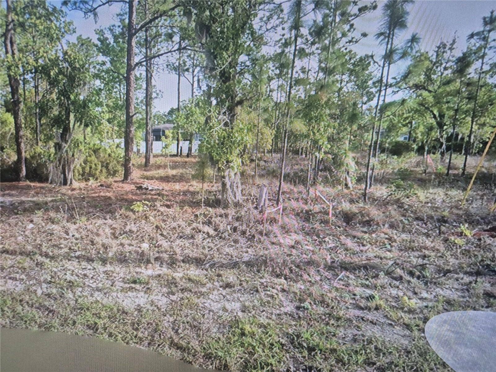 2651 W BRAVURA DRIVE, Citrus Springs, FL 34433 2651 W BRAVURA DRIVE, Citrus Springs, FL 34433