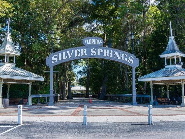Silver Springs