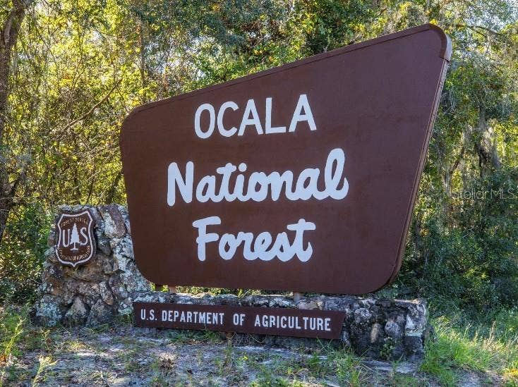 13 LOCUST LOOP COURSE, Ocala, FL 34472 Beautiful Nature in your backyard - Ocala National Forest