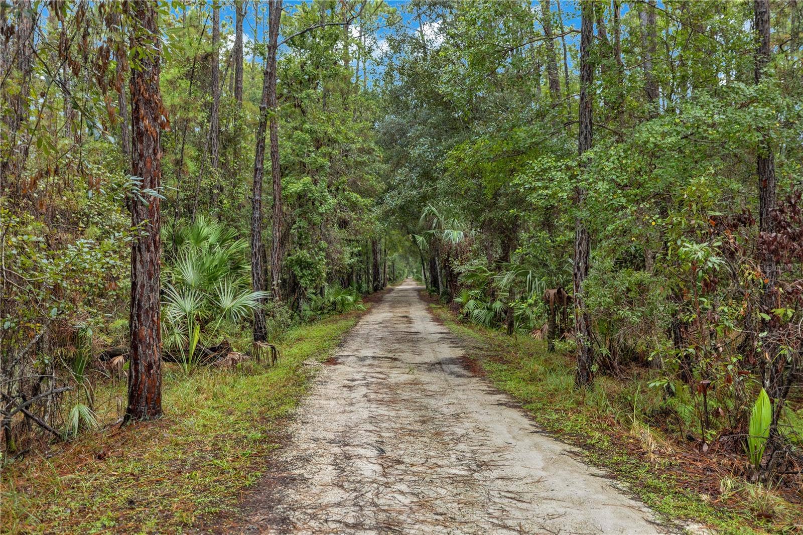 1930 OLD TRAIN ROAD, Deltona, FL 32738 Tranquility