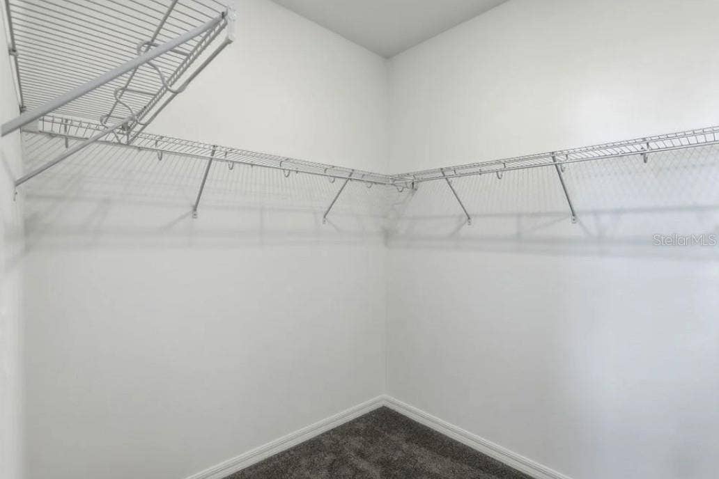 14791 FIELD DAISY DRIVE, Winter Garden, FL 34787 Representative Photo