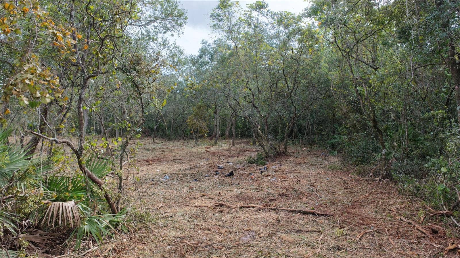 0 LAKE MACK DRIVE, Deland, FL 32720 0 LAKE MACK DRIVE, Deland, FL 32720