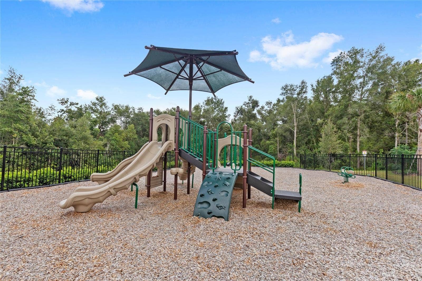 5269 FOOTHILLS PRESERVE LOOP, Mount Dora, FL 32757