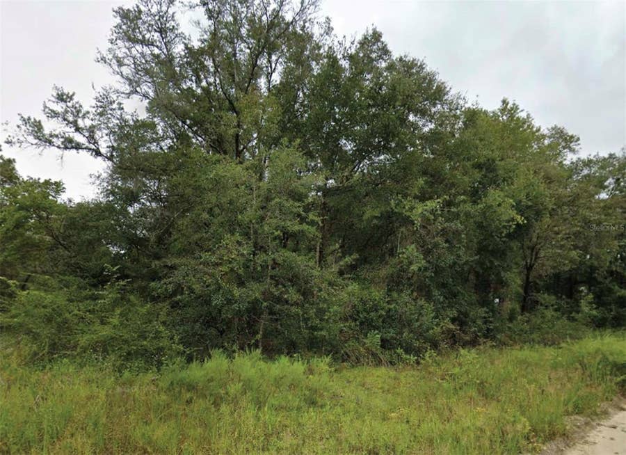 Property photo for NE 2ND PLACE, Williston, FL