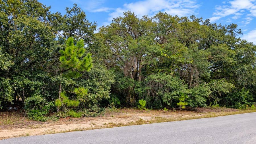 Property photo for TBD SE MALAUKA LOOP RUN ROAD, Ocklawaha, FL