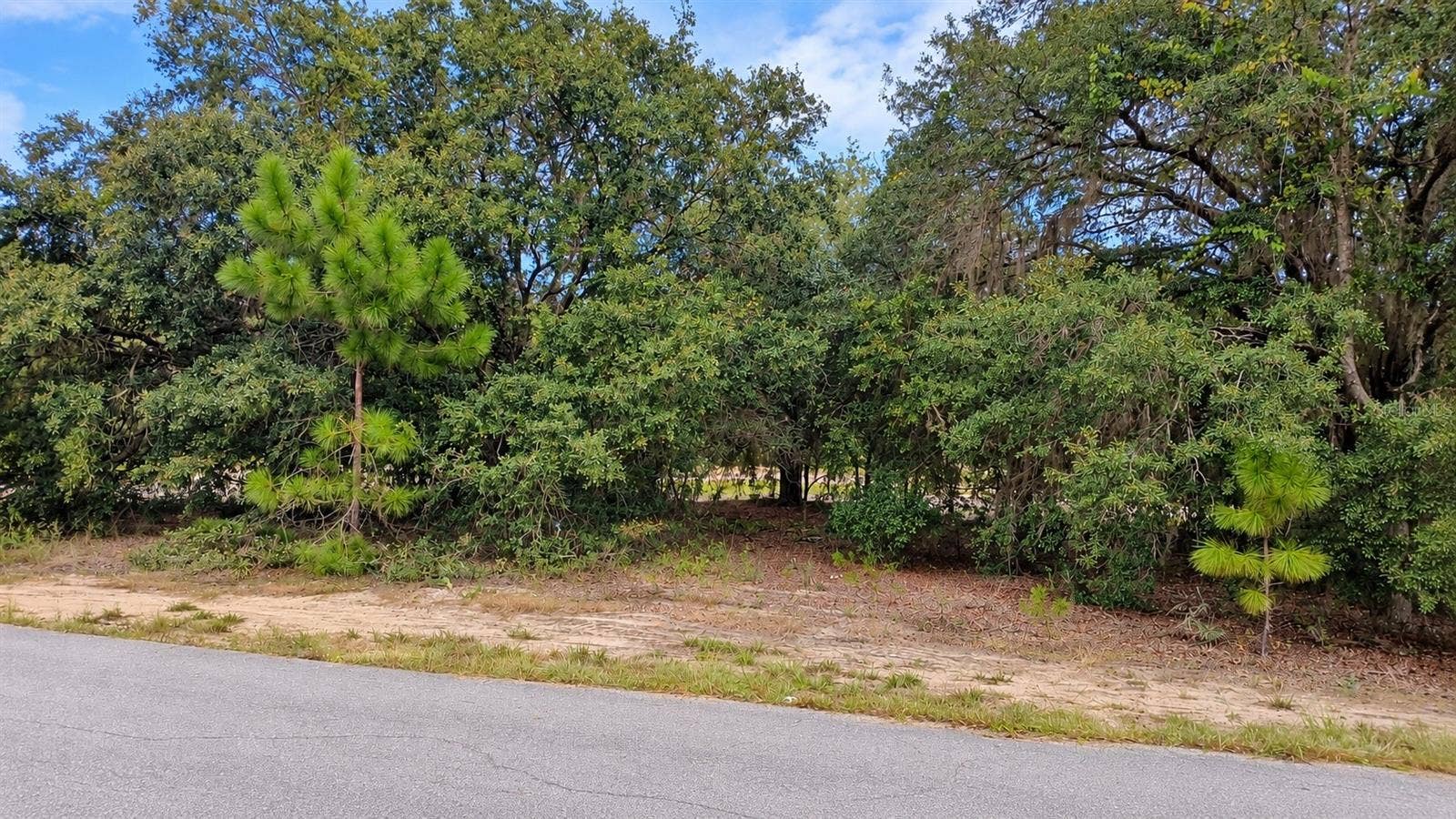TBD SE MALAUKA LOOP RUN ROAD, Ocklawaha, FL 32179 TBD SE MALAUKA LOOP RUN ROAD, Ocklawaha, FL 32179