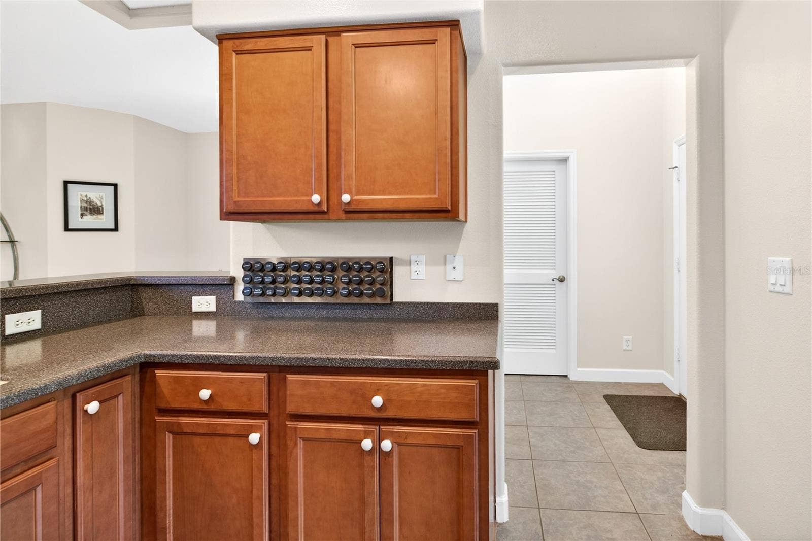 3003 NEW HAVEN PLACE, Mount Dora, FL 32757