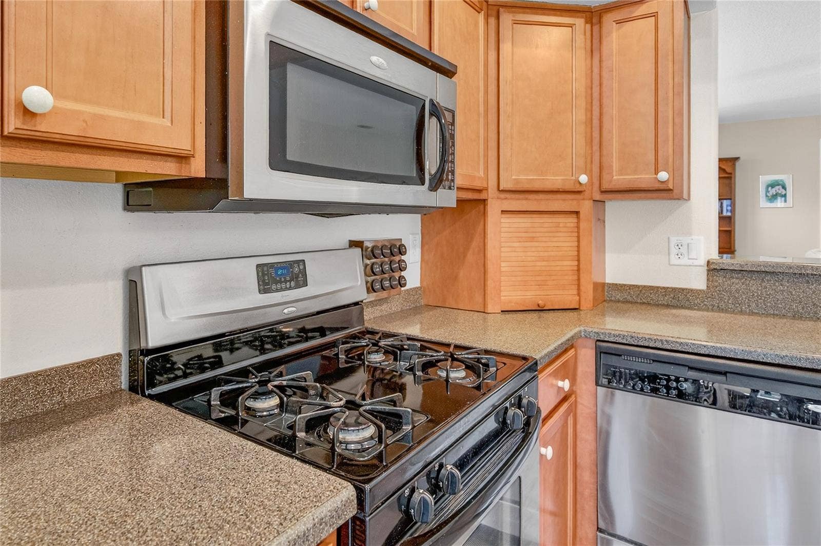 3003 NEW HAVEN PLACE, Mount Dora, FL 32757