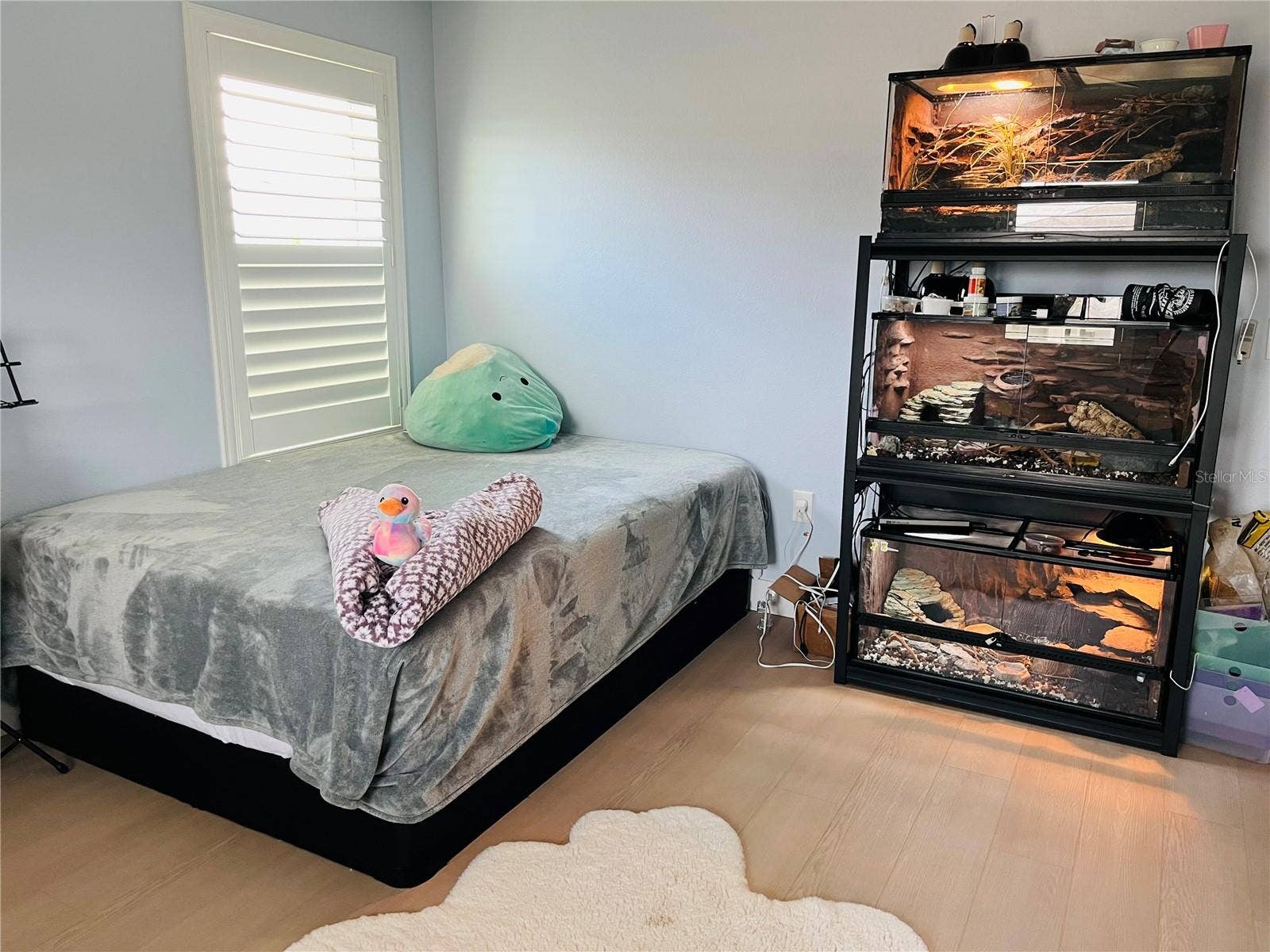 14037 PECAN ORCHARD DRIVE, Winter Garden, FL 34787 Bedroom 4, North View