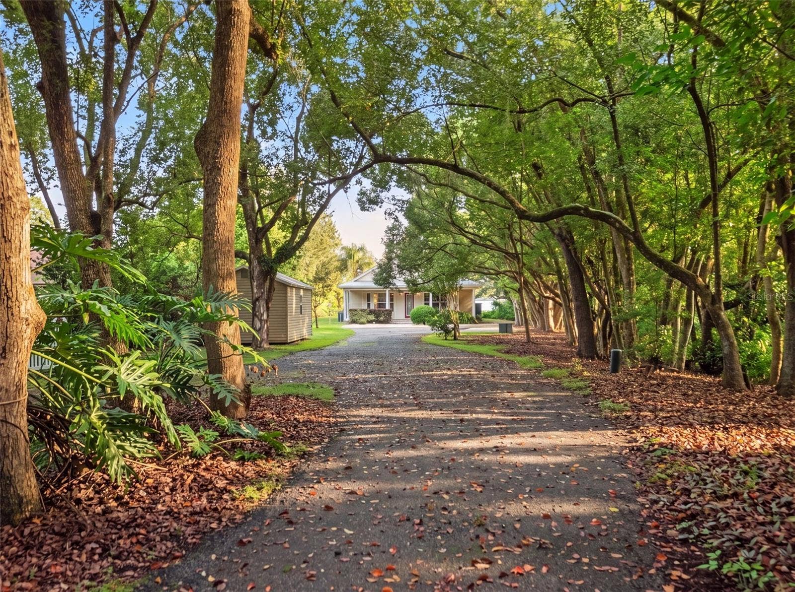 7751 SADLER ROAD, Mount Dora, FL 32757 7751 SADLER ROAD, Mount Dora, FL 32757